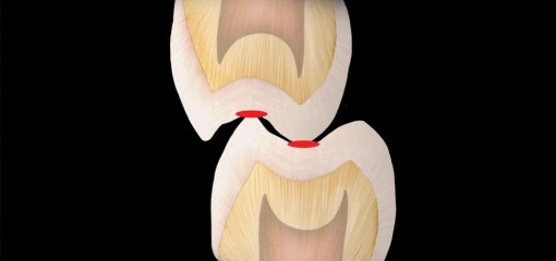 Основы окклюзии и биомеханики челюстей: новый взгляд на старые концепции